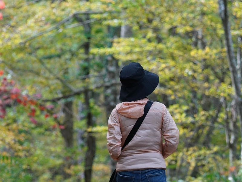 大山を歩く後ろ姿の女性