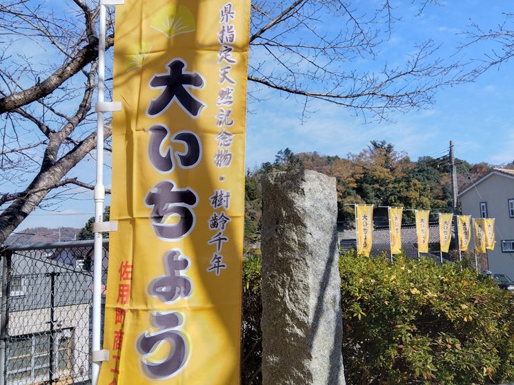 佐用町『大イチョウ』のぼり旗