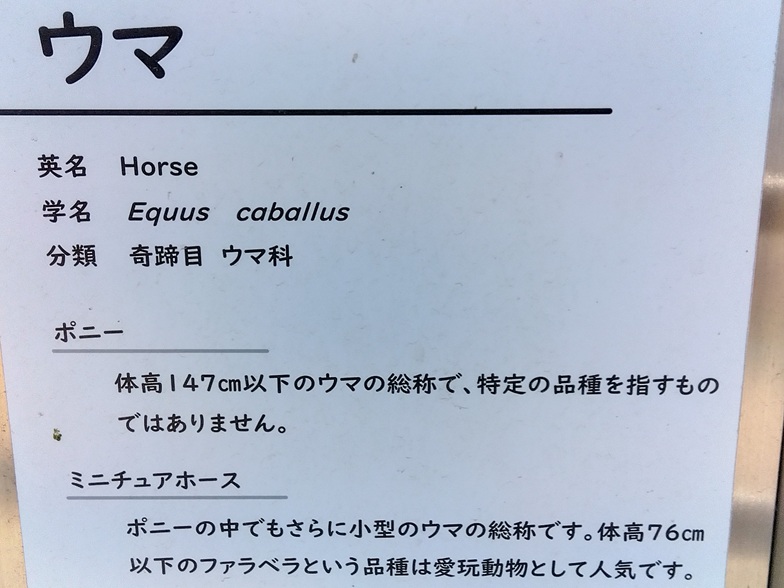 浜松市動物園の解説板「ウマ」