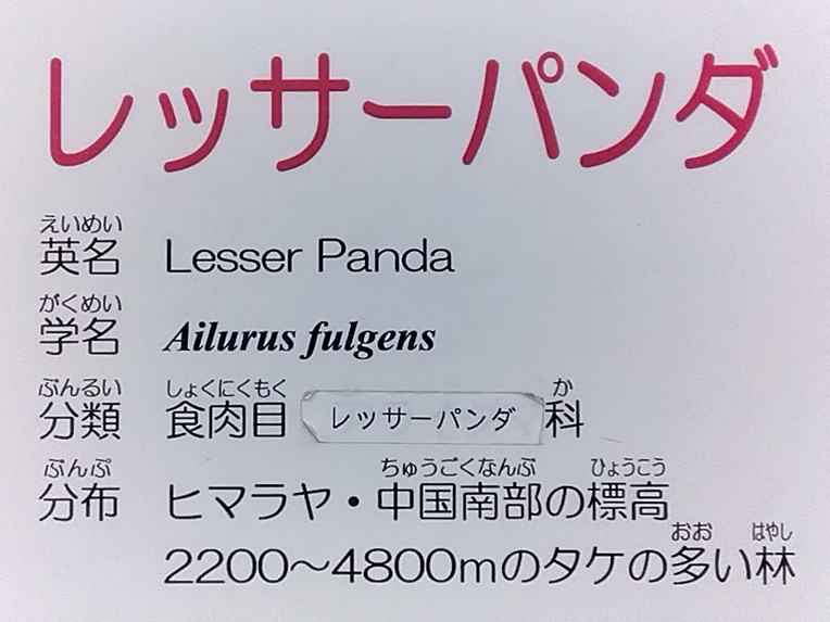 浜松市動物園の解説板「レッサーパンダ」