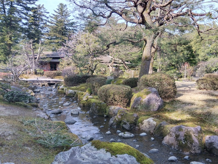 兼六園の小川