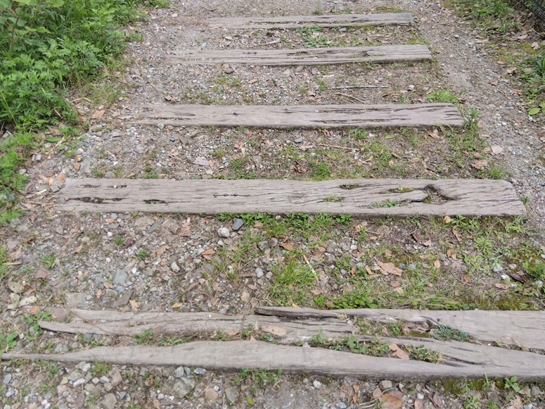 廃線になったJR福知山線の枕木