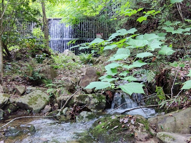 宝塚市里山公園「桜の園・亦楽山荘」の風景