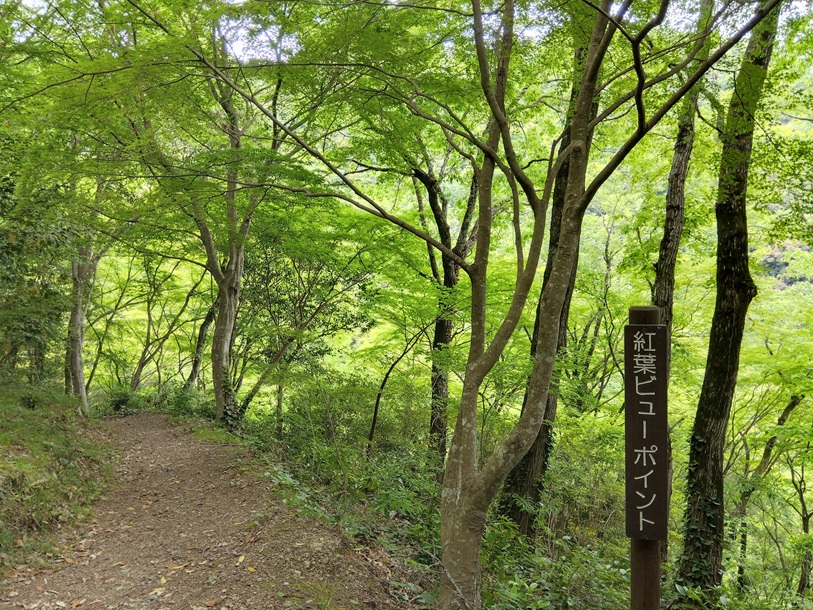 宝塚市里山公園「桜の園・亦楽山荘」の紅葉ビューポイント
