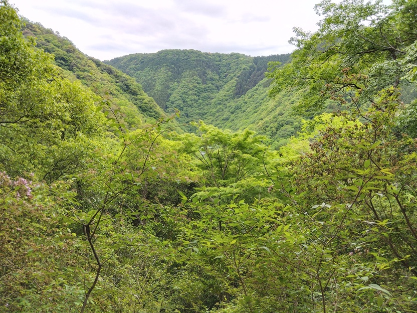 宝塚市・武田尾の桜の園から見える、重なり合う山並み