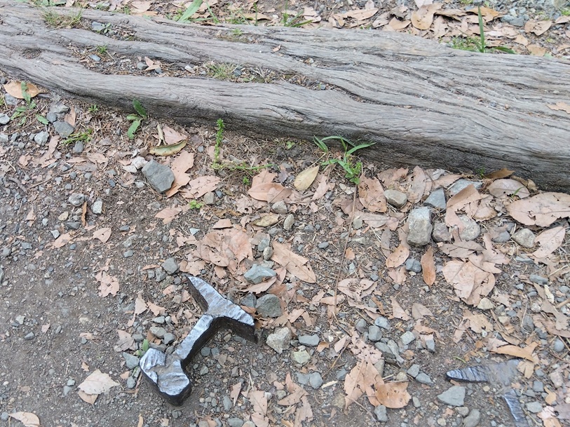 地中に埋まったまま残る、切断されたレールの断片。武庫川渓谷の廃線跡の一部。