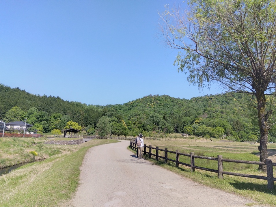 コウノトリの郷公園