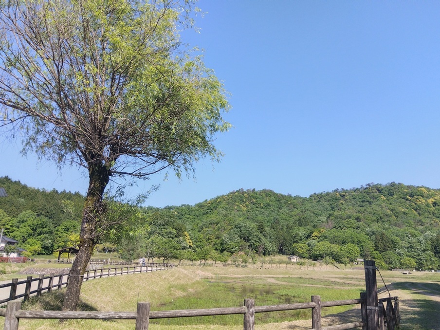 コウノトリの郷公園