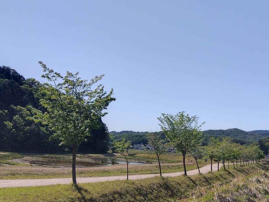 コウノトリの郷公園