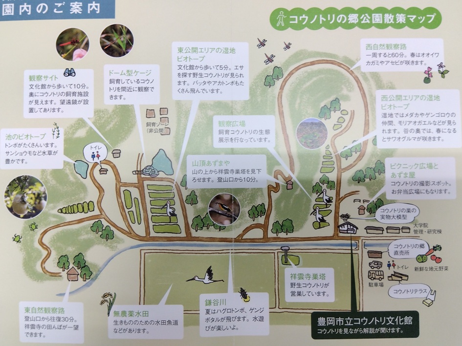 コウノトリの郷公園散策マップ
