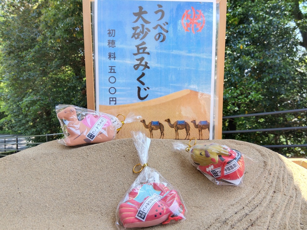 宇倍神社の大砂丘みくじ